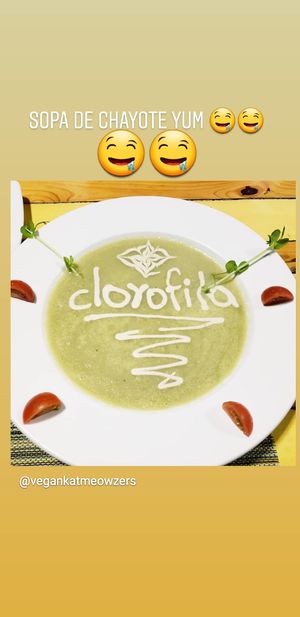 Sopa de Chayote at Clorofila in Playa Del Carmen