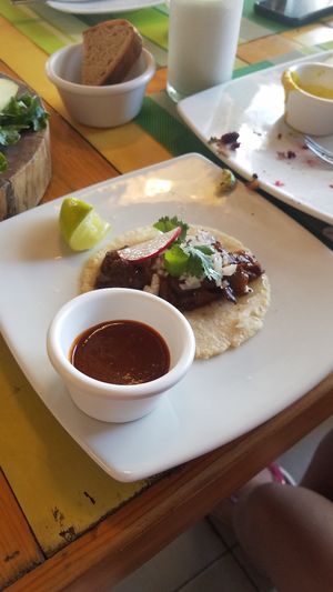 TACOS! at Clorofila in Playa Del Carmen