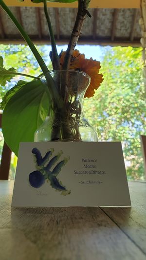  at Bamboo Spirit in Ubud