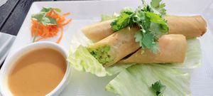 Edamame spring rolls at CO Sushi in Myrtle Beach