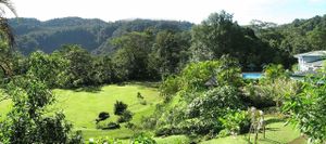 Area of the hotel at Lands in Love - Vegan Hotel & Resort in Alajuela