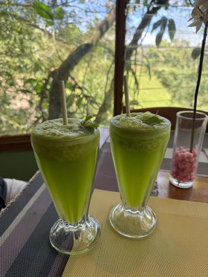 Mint Lemonade- refreshing and delicious  at Lands in Love - Vegan Hotel & Resort in Alajuela