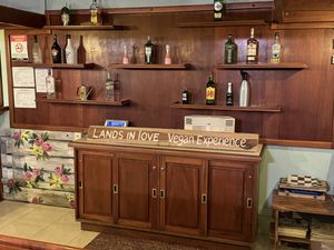 Bar in the hotel  at Lands in Love - Vegan Hotel & Resort in Alajuela