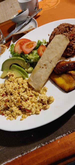 Gallo pinto with scrambled tofu at Lands in Love - Vegan Hotel & Resort in Alajuela