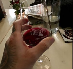 vegan zweigelt red wine at Veggiezz - Am Salzgriess in Vienna