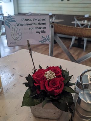 Decoration at Veggiezz - Am Salzgriess in Vienna