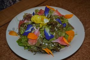 edible flower on top of a fresh salad at Buzzz Cafe in Tagbilaran