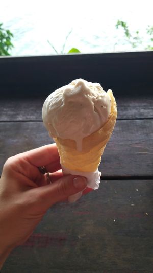 Vegan gluten free signature ice cream at Buzzz Cafe in Tagbilaran