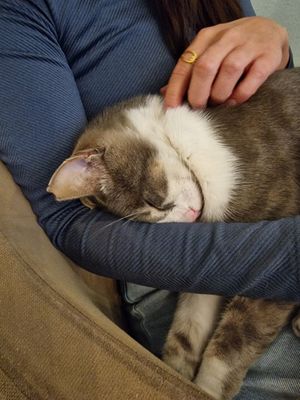 healing 💚 at KafeNAsanat in Istanbul