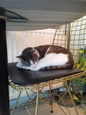 🤍 at KafeNAsanat in Istanbul