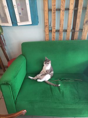  at KafeNAsanat in Istanbul