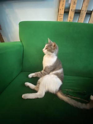   at KafeNAsanat in Istanbul