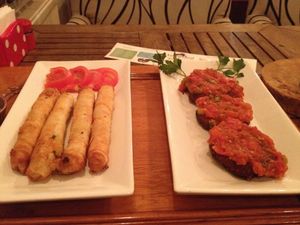 Sigara böreği and vegan köfte at KafeNAsanat in Istanbul