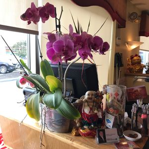 counter at Chia Sen in Scarborough