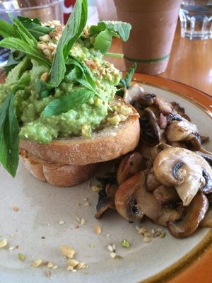 Minty smashed avo (with extra mushrooms) at Gather in Northbridge