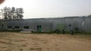 Once you enter Farm 15 at Spaghetti and Samosas in New Delhi