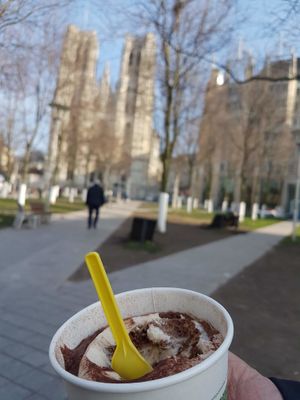 tiramisu at Loving Hut Express - Food Truck in Brussels
