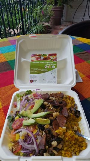 Delicious, abundant rice bowl at Veggie Table in Puerto Vallarta