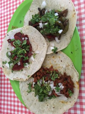 more tacos! at Veggie Table in Puerto Vallarta
