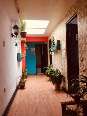   at Kome Vegan in Valparaiso