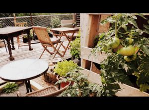 Comme relax in our private terrasse - organic garden at L'Îlot in the summer ! at L'ilot in Levis
