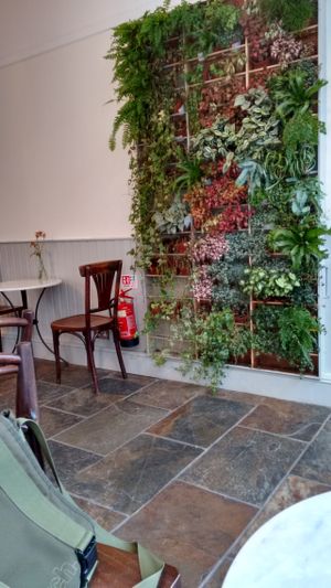 Green wall at Moon & Hare in Edinburgh