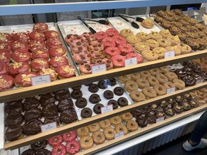 Great selection, November 2019 at Brammibal's Donuts - Maybachufer in Berlin