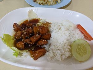 Honey chicken rice ($4) at Ru Lai 如来斋 in Central Singapore