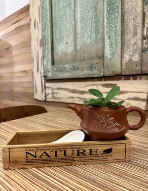   at Lutan 21 滷談21蔬食藥膳養生館 in Malacca