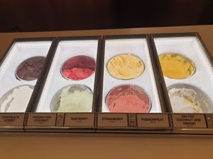 Sorbet range at Gelato Messina in Fitzroy