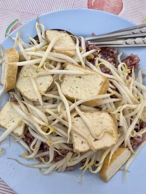 Tofu and rice   at Muay and Joom Vegetarian in Hua Hin