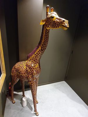 giraffe in the toilets - love this😉 at Verthé in Diksmuide