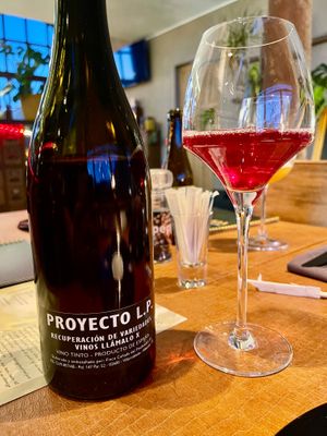 Vinos Llamolo X (2024). Proyecto Listan. Sappig rood, uiterst elegant en licht gekoeld. Eén van de vijf sublieme wijnen van de pairing, (halve glazen voor de chauffeur). at Verthé in Diksmuide