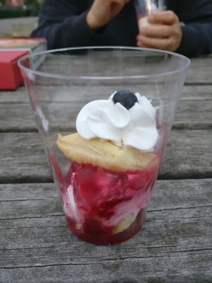 vegan dessert at Galicia in Viernheim