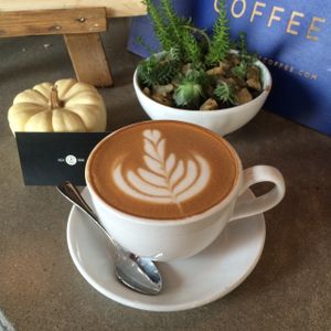 Front Street Cafe - Organic Counter Culture Coffee at Front Street Cafe in Philadelphia