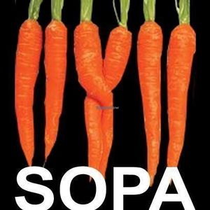 SOPA at SOPA in Tenerife