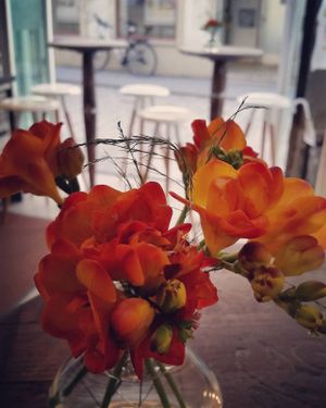 Frühlingssaison at Frisch & Veg in Ingolstadt