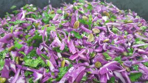 Purple and Green Salad (red cabbage, bok choy, cilantro, ume plum vinegar) at Purple Sprout Conscious Organics in Buffalo Grove