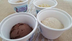 Robin's Frozen Fantasy Healthy Hemp Seed Ice Cream, produced and sold only at Purple Sprout Cafe and Juice Bar. Different flavors available including Vanilla Bean, Chocolate, Root Beer, Vanilla Orange, and seasonal items like Strawberry Rose, Fresh Blueberry Shiso, Cherry with Handmade Chocolate Pieces, Fresh Peach, etc.  at Purple Sprout Conscious Organics in Buffalo Grove