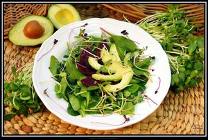 Avocado Beet Salad - refreshing greens, marinated beets, microgreens, and balsamic dressing at Purple Sprout Conscious Organics in Buffalo Grove