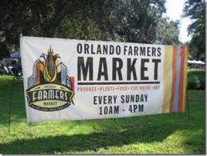 Orlando Farmer's Market at Lake Eola at The Angel Kale Company in Orlando