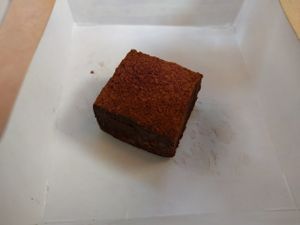 brownie truffle at The Plant in Stockholm