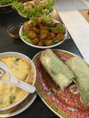 Spring rolls, veg chicken, coconut soup at Tien Hiang in Paris