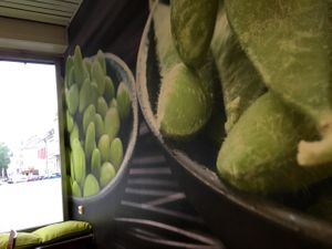 inside deco at MakiMaki Sushi Green in Dortmund