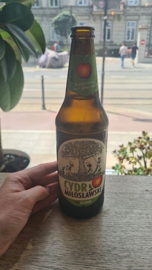 Nice local cider, beers, and a range of homemade lemonades at Vegab in Krakow