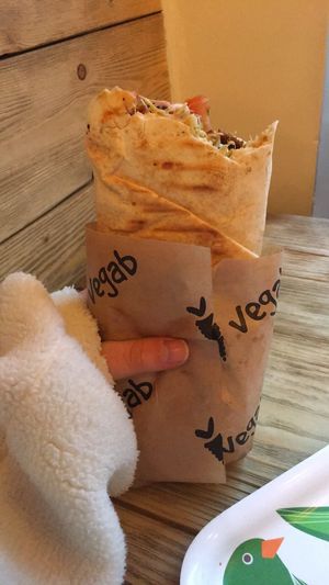 Massive portion size (this was the regulat size)  at Vegab in Krakow