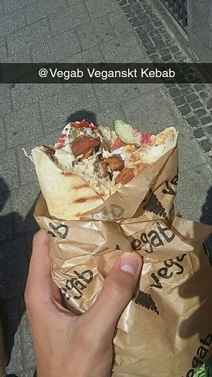 Tasty non-cruelty kebab   at Vegab in Krakow
