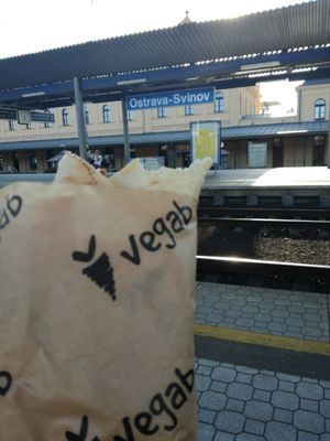 Vegab w podróży!  at Vegab in Krakow