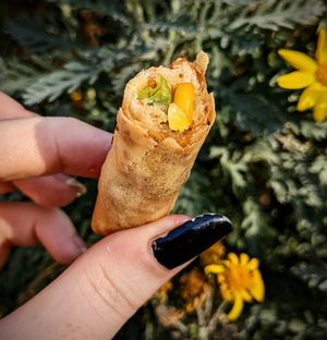 Spring roll at Trang Bakery and Cafe in Collingwood