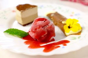 From the Raw Balance Italian Themed Annual Dinner Party - Tiramisu cake, lemon cannoli, strawberry+raspberry sorbet! at Raw Balance Raw Food Deli in Taupo